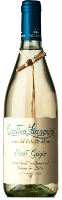 12,95 € Envio grátis | Vinho branco Zaccagnini Tralcetto I.G.T. Colline Teatine Abruzzo Itália Pinot Cinza Garrafa 75 cl