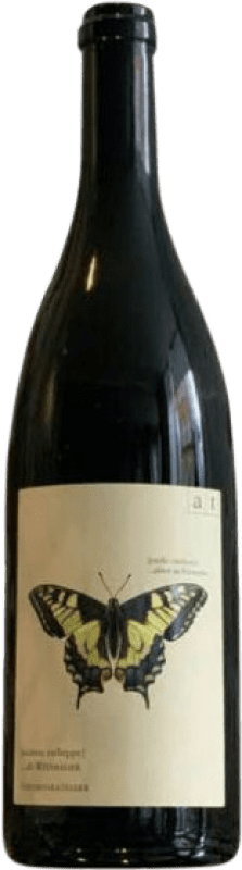 59,95 € Envoi gratuit | Vin blanc Andreas Tscheppe Schwalbenschwarz Muskateller Macerated Estiria Autriche Muscat Petit Grain Bouteille 75 cl