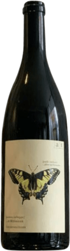 62,95 € Spedizione Gratuita | Vino bianco Andreas Tscheppe Schwalbenschwarz Muskateller Macerated Estiria Austria Moscato di Grano Tenero Bottiglia 75 cl