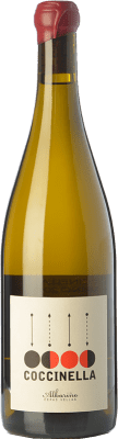29,95 € Free Shipping | White wine Nanclares Coccinella Aged D.O. Rías Baixas Galicia Spain Albariño Bottle 75 cl