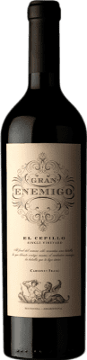 126,95 € Free Shipping | Red wine Aleanna Gran Enemigo El Cepillo Cabernet Franc Aged I.G. Mendoza Mendoza Argentina Cabernet Franc, Malbec Bottle 75 cl