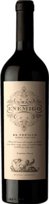 Aleanna Gran Enemigo El Cepillo Cabernet Franc 75 cl