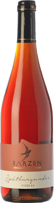 13,95 € Kostenloser Versand | Rotwein Barzen Spätburgunder Fuder Alterung Q.b.A. Mosel Rheinland-Pfalz Deutschland Pinot Schwarz Flasche 75 cl