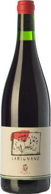 26,95 € Kostenloser Versand | Rotwein Ampeleia I.G.T. Costa Toscana Toskana Italien Carignan Flasche 75 cl