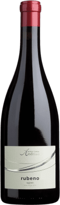 19,95 € Бесплатная доставка | Красное вино Andriano Rubeno D.O.C. Alto Adige Трентино-Альто-Адидже Италия Lagrein — Лагрейн Бутылка 75 cl
