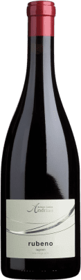 19,95 € Envio grátis | Vinho tinto Andriano Rubeno D.O.C. Alto Adige Trentino-Alto Adige Itália Lagrein Garrafa 75 cl