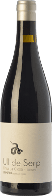 Arché Pagés Ull de Serp Carinyena Carignan старения 75 cl