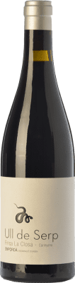 Arché Pagés Ull de Serp Carinyena Cariñena — Carignan Crianza 75 cl