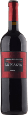 9,95 € 免费送货 | 红酒 Arzuaga La Planta 年轻的 D.O. Ribera del Duero 卡斯蒂利亚莱昂 西班牙 Tempranillo 瓶子 75 cl