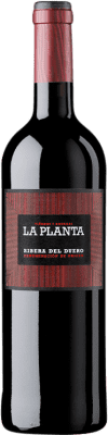 10,95 € 免费送货 | 红酒 Arzuaga La Planta 年轻的 D.O. Ribera del Duero 卡斯蒂利亚莱昂 西班牙 Tempranillo 瓶子 75 cl