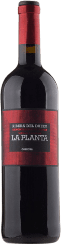 9,95 € Free Shipping | Red wine Arzuaga La Planta Young D.O. Ribera del Duero Castilla y León Spain Tempranillo Bottle 75 cl