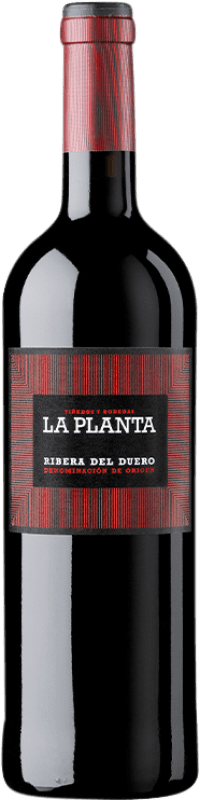 10,95 € Envoi gratuit | Vin Rouge Arzuaga La Planta Jeune D.O. Ribera del Duero Castille et Leon Espagne Tempranillo 75 cl