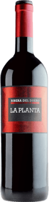 21,95 € 免费送货 | 红酒 Arzuaga La Planta 年轻的 D.O. Ribera del Duero 卡斯蒂利亚莱昂 西班牙 Tempranillo 瓶子 Magnum 1,5 L