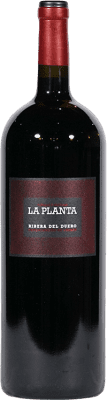 21,95 € 送料無料 | 赤ワイン Arzuaga La Planta 若い D.O. Ribera del Duero カスティーリャ・イ・レオン スペイン Tempranillo — テンプラニーリョ マグナムボトル 1,5 L