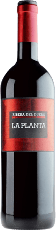 19,95 € Spedizione Gratuita | Vino rosso Arzuaga La Planta Giovane D.O. Ribera del Duero Castilla y León Spagna Tempranillo Bottiglia Magnum 1,5 L