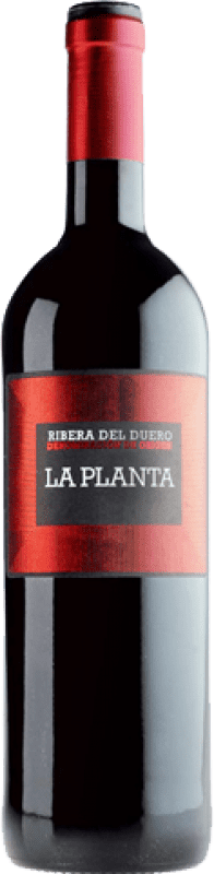 21,95 € Бесплатная доставка | Красное вино Arzuaga La Planta молодое D.O. Ribera del Duero Кастилия-Леон Испания Tempranillo — Темпранильо Бутылка Магнум 1,5 L