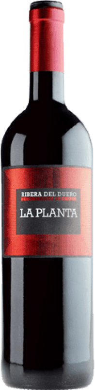 21,95 € Kostenloser Versand | Rotwein Arzuaga La Planta Jung D.O. Ribera del Duero Kastilien und León Spanien Tempranillo Magnum-Flasche 1,5 L