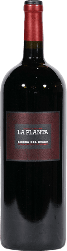 21,95 € Kostenloser Versand | Rotwein Arzuaga La Planta Jung D.O. Ribera del Duero Kastilien und León Spanien Tempranillo Magnumflasche 1,5 L