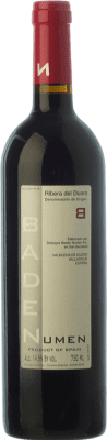 9,95 € Envio grátis | Vinho tinto Baden Numen B Carvalho D.O. Ribera del Duero Castela e Leão Espanha Tempranillo Garrafa 75 cl