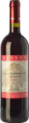 10,95 € Envio grátis | Vinho tinto Bisson Rubino I.G.T. Colline del Genovesato Liguria Itália Ciliegiolo Garrafa 75 cl