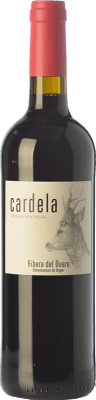 17,95 € Free Shipping | Red wine Bohórquez Cardela Crianza D.O. Ribera del Duero Castilla y León Spain Tempranillo, Merlot, Cabernet Sauvignon Bottle 75 cl