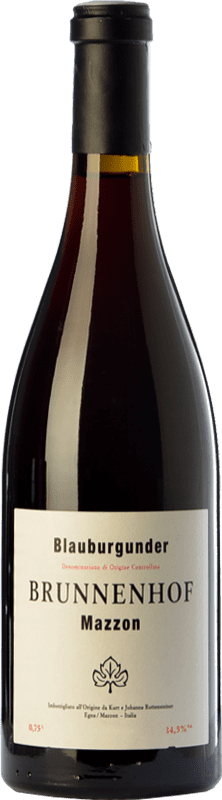 43,95 € Free Shipping | Red Wine Brunnenhof Reserve — Aged D.O.C. Alto Adige Trentino-Alto Adige Italy Pinot Noir Bottle 75 cl