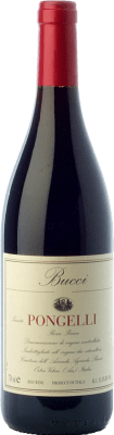 19,95 € Free Shipping | Red Wine Bucci Pongelli Crianza — Aged I.G.T. Marche Marche Italy Sangiovese, Montepulciano 75 cl