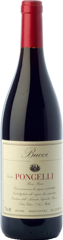 29,95 € Free Shipping | Red wine Bucci Pongelli Aged I.G.T. Marche Marche Italy Sangiovese, Montepulciano Bottle 75 cl