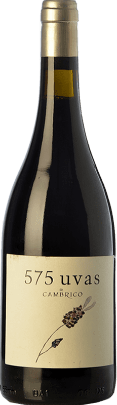 22,95 € Free Shipping | Red wine Cámbrico 575 Uvas Aged I.G.P. Vino de la Tierra de Castilla y León Castilla y León Spain Tempranillo, Rufete, Calabrese Bottle 75 cl