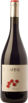 Cámbrico Rufete Crianza 75 cl