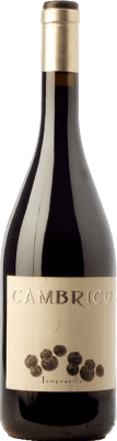 43,95 € Free Shipping | Red wine Cámbrico Aged I.G.P. Vino de la Tierra de Castilla y León Castilla y León Spain Tempranillo Bottle 75 cl