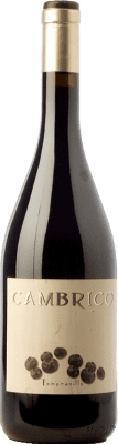 Cámbrico Tempranillo Crianza 75 cl