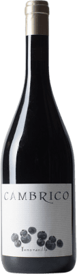 73,95 € Envoi gratuit | Vin Rouge Cámbrico Crianza I.G.P. Vino de la Tierra de Castilla y León Castille et Leon Espagne Tempranillo 75 cl