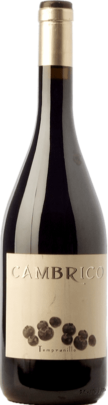 43,95 € Бесплатная доставка | Красное вино Cámbrico старения I.G.P. Vino de la Tierra de Castilla y León Кастилия-Леон Испания Tempranillo бутылка 75 cl