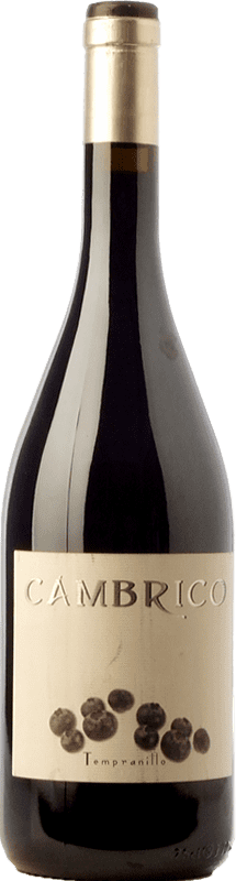 45,95 € Envío gratis | Vino Tinto Cámbrico Crianza I.G.P. Vino de la Tierra de Castilla y León Castilla y León España Tempranillo 75 cl