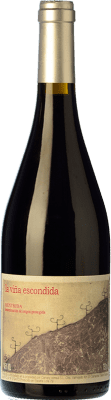33,95 € Free Shipping | Red wine Canopy La Viña Escondida Aged D.O. Méntrida Castilla la Mancha Spain Grenache Bottle 75 cl
