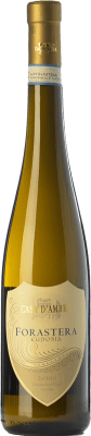 15,95 € Kostenloser Versand | Weißwein Casa d'Ambra D.O.C. Ischia Kampanien Italien Forastera Flasche 75 cl