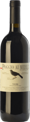 Domini Castellare di Castellina Poggio ai Merli Merlot 75 cl