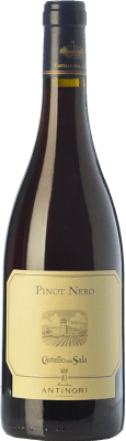 58,95 € Free Shipping | Red wine Castello della Sala Pinot Nero I.G.T. Umbria Umbria Italy Pinot Black Bottle 75 cl