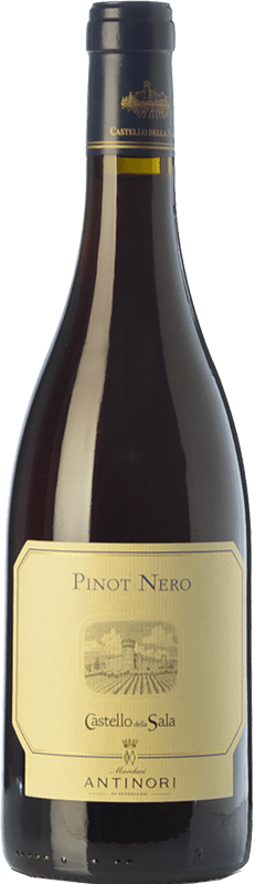 52,95 € Free Shipping | Red wine Castello della Sala Pinot Nero I.G.T. Umbria Umbria Italy Pinot Black Bottle 75 cl