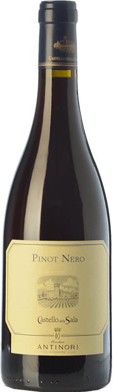 58,95 € 免费送货 | 红酒 Castello della Sala Pinot Nero I.G.T. Umbria 翁布里亚 意大利 Pinot Black 瓶子 75 cl