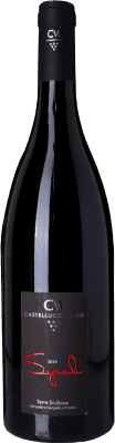 Castellucci Miano Syrah Eco Ecológico 75 cl
