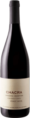 96,95 € Kostenloser Versand | Rotwein Chacra Cincuenta y Cinco I.G. Patagonia Patagonia Argentinien Pinot Noir — Spätburgunder Eco — Biologisch Flasche 75 cl