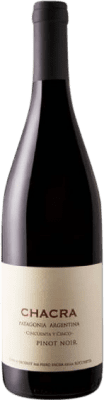 66,95 € Kostenloser Versand | Rotwein Chacra Cincuenta y Cinco I.G. Patagonia Patagonia Argentinien Pinot Schwarz Flasche 75 cl