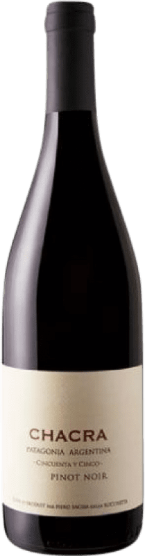 96,95 € Envoi gratuit | Vin Rouge Chacra Cincuenta y Cinco I.G. Patagonia Patagonia Argentine Pinot Noir Eco — Biologique Bouteille 75 cl