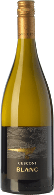 28,95 € Бесплатная доставка | Белое вино Cesconi Blanc I.G.T. Vigneti delle Dolomiti Трентино Италия Sauvignon бутылка 75 cl