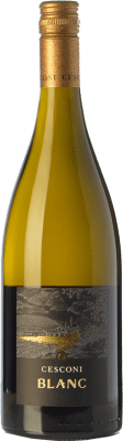 28,95 € Kostenloser Versand | Weißwein Cesconi Blanc I.G.T. Vigneti delle Dolomiti Trentino Italien Sauvignon Flasche 75 cl