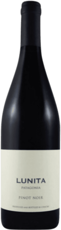 44,95 € Kostenloser Versand | Rotwein Chacra Lunita I.G. Patagonia Patagonia Argentinien Spätburgunder Flasche 75 cl