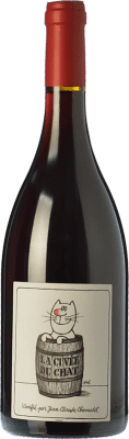 13,95 € 送料無料 | 赤ワイン Château Cambon La Cuvée du Chat 若い A.O.C. Beaujolais ボジョレ フランス Gamay ボトル 75 cl