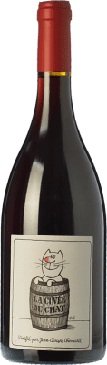 12,95 € Free Shipping | Red wine Château Cambon La Cuvée du Chat Joven A.O.C. Beaujolais Beaujolais France Gamay Bottle 75 cl